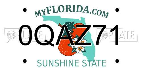 0QAZ71 Florida License Plate