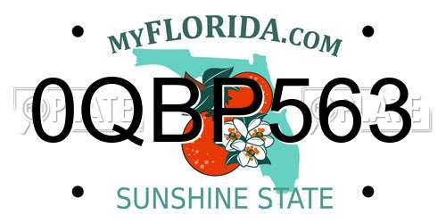 0QBP563 Florida License Plate