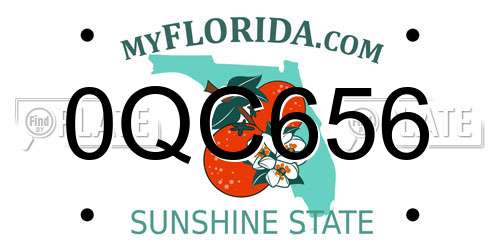 0QC656 Florida License Plate