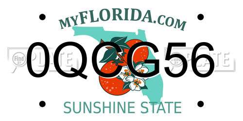 0QCG56 Florida License Plate