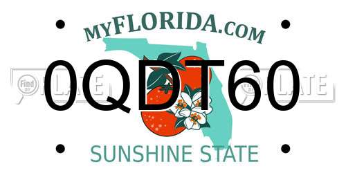 0QDT60 Florida License Plate