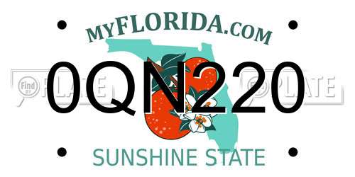 0QN220 Florida License Plate
