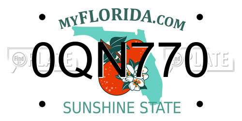 0QN770 Florida License Plate