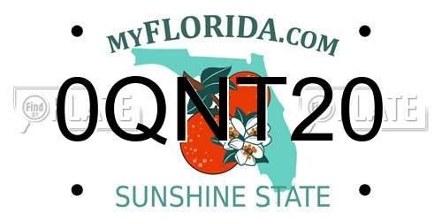 0QNT20 Florida License Plate