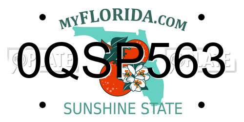 0QSP563 Florida License Plate