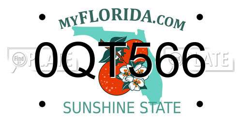 0QT566 Florida License Plate