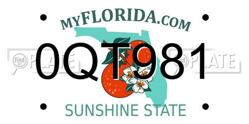 0QT981 Florida License Plate