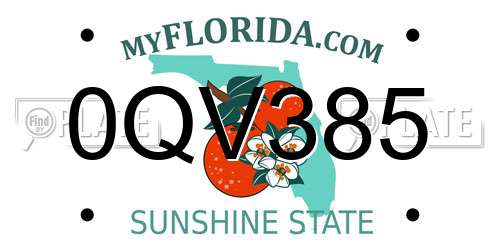 0QV385 Florida License Plate