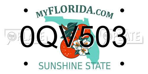 0QV503 Florida License Plate