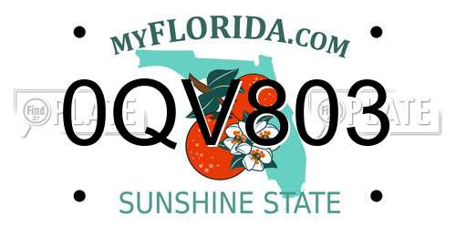 0QV803 Florida License Plate