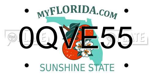 0QVE55 Florida License Plate