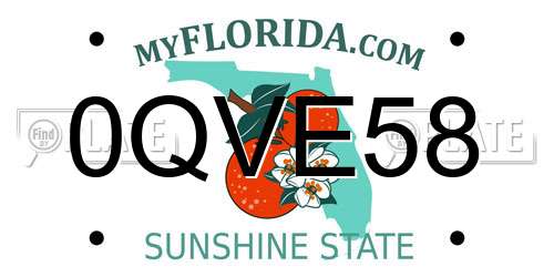0QVE58 Florida License Plate