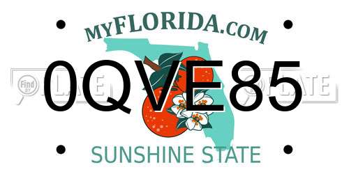 0QVE85 Florida License Plate