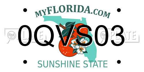 0QVS03 Florida License Plate