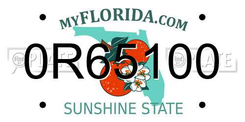 0R65100 Florida License Plate