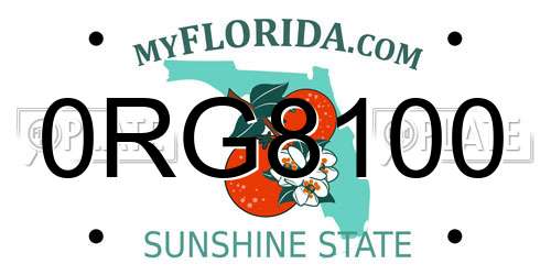 0RG8100 Florida License Plate