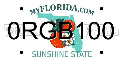 0RGB100 Florida License Plate