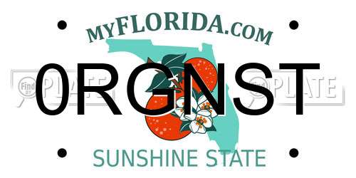 0RGNST Florida License Plate