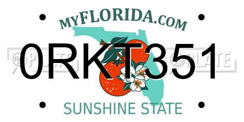 0RKT351 Florida License Plate