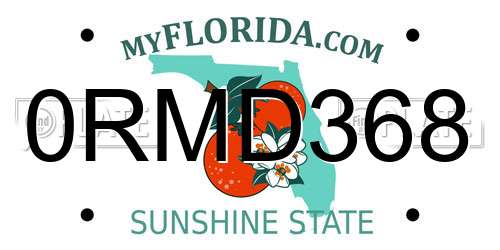 0RMD368 Florida License Plate