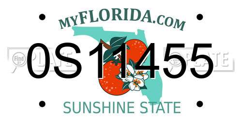 0S11455 Florida License Plate
