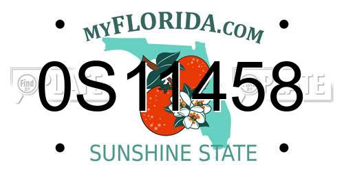 0S11458 Florida License Plate