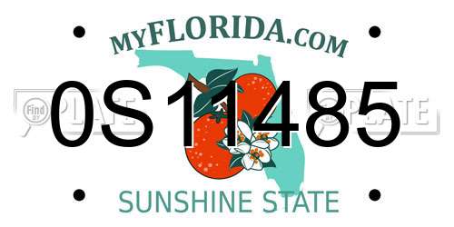 0S11485 Florida License Plate
