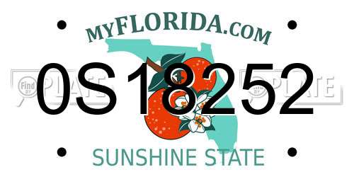 0S18252 Florida License Plate