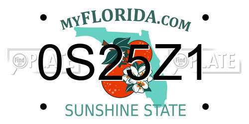 0S25Z1 Florida License Plate