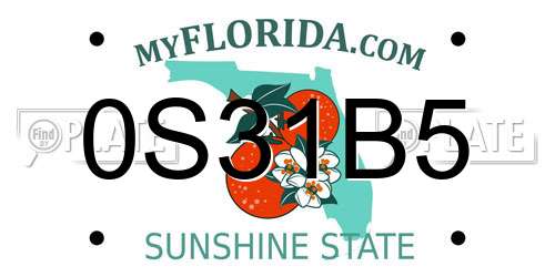 0S31B5 Florida License Plate