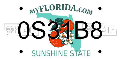 0S31B8 Florida License Plate