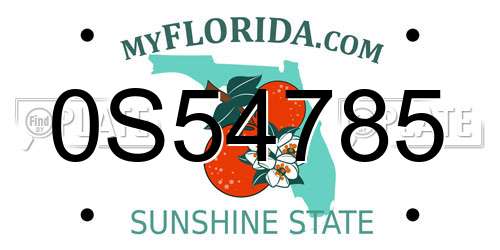 0S54785 Florida License Plate