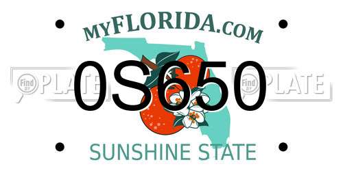 0S650 Florida License Plate