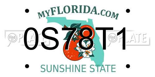 0S78T1 Florida License Plate