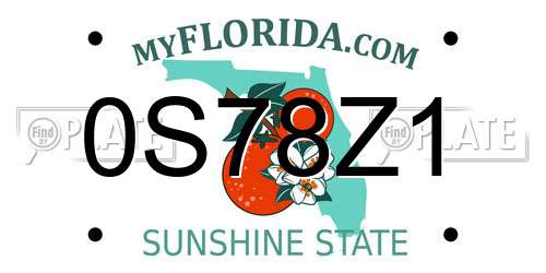 0S78Z1 Florida License Plate