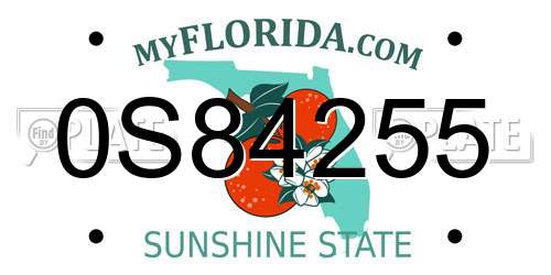 0S84255 Florida License Plate