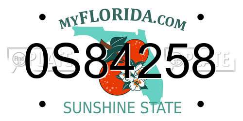 0S84258 Florida License Plate