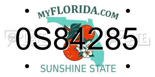 0S84285 Florida License Plate