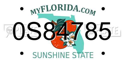 0S84785 Florida License Plate