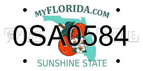 0SA0584 Florida License Plate