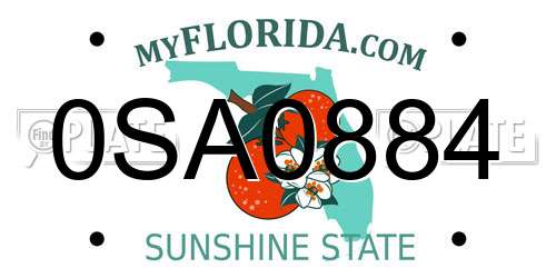 0SA0884 Florida License Plate