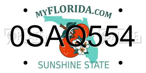 0SAQ554 Florida License Plate