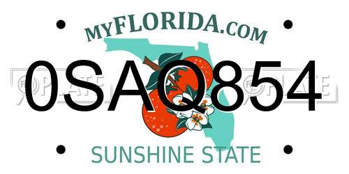 0SAQ854 Florida License Plate