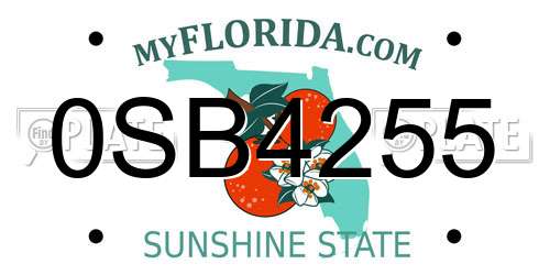 0SB4255 Florida License Plate