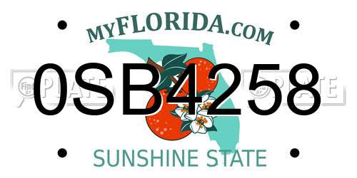 0SB4258 Florida License Plate