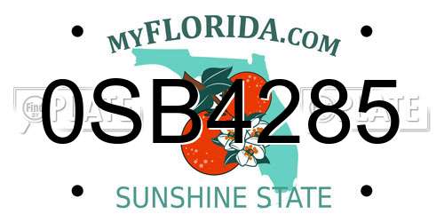 0SB4285 Florida License Plate
