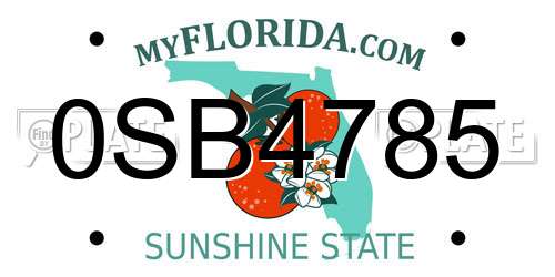 0SB4785 Florida License Plate