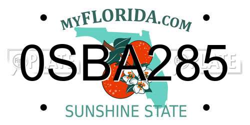 0SBA285 Florida License Plate
