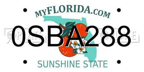 0SBA288 Florida License Plate