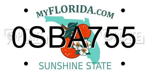 0SBA755 Florida License Plate